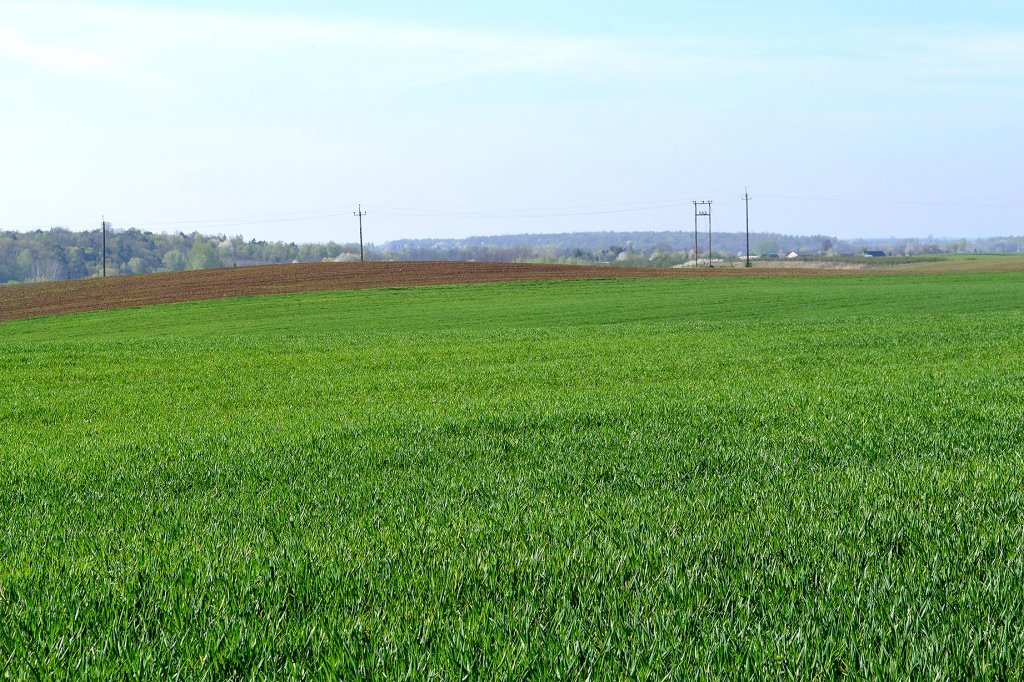 Oshxona fotosuratida retro katta kokraklar