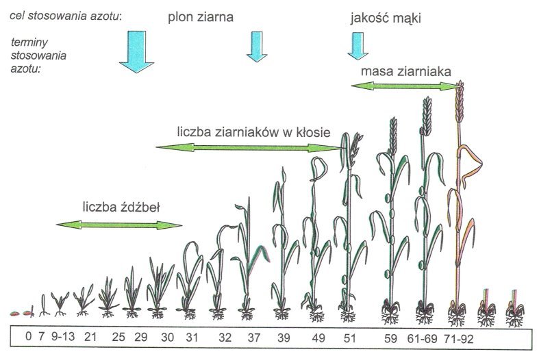 Oz qollaringiz bilan er usti transporti Oxotets