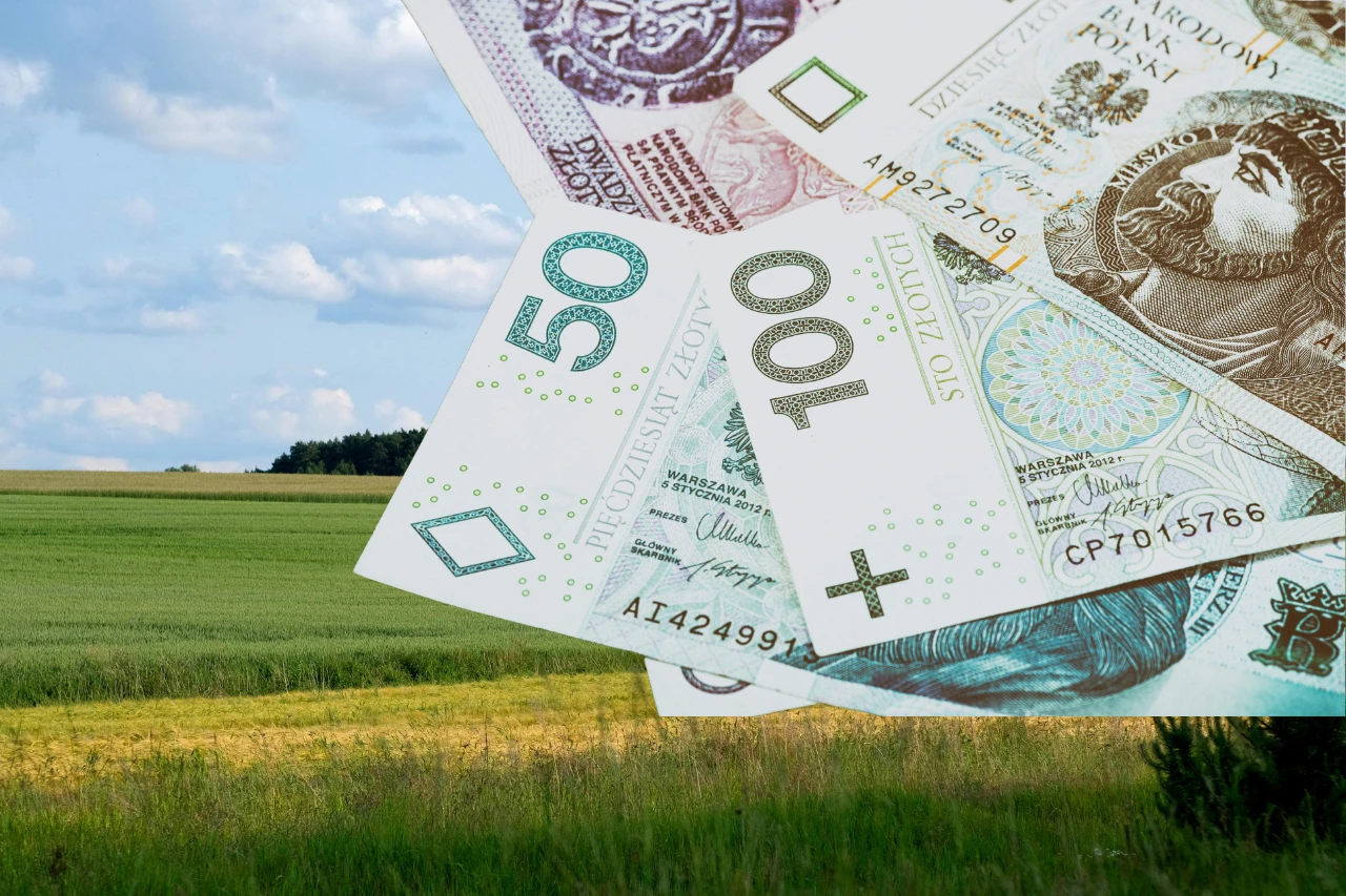 Płatności bezpośrednie 2025: nowe stawki, większa pula środków, trwa stabilność kursu euro